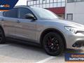 ALFA ROMEO STELVIO 2.2 Turbodiesel 210 CV AT8 Q4 B-Tech