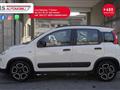 FIAT PANDA 1.0 FireFly S&S Hybrid Sport