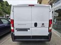 FIAT DUCATO 28 2.3 MJT 120CV PC-TN +IVA