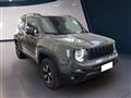 JEEP RENEGADE 4XE 2019 1.3 t4 phev Trailhawk 4xe at6