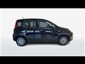 FIAT PANDA City Cross 1.0 FireFly Hybrid 70cv S&S 5p.ti