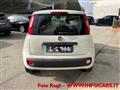 FIAT PANDA 1.2 Easy NEOPATENTATI