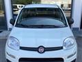 FIAT PANDA 1.2 Pop 49.000 KM! - NO CLIMA