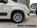 FIAT PANDA 1.2 69CV LOUNGE UNIPROPRIETARIO ADATTA NEOPATENT.