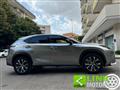 LEXUS NX Hybrid 4WD F-Sport