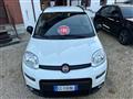 FIAT PANDA 1.0 FireFly S&S Hybrid City Life + Pack