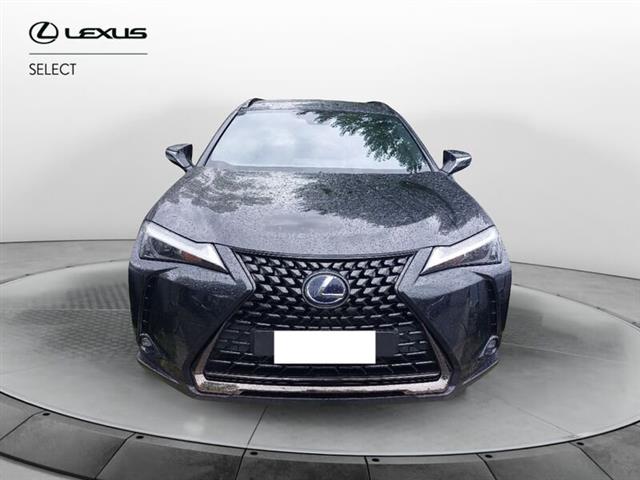 LEXUS UX Hybrid Executive