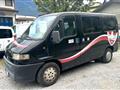 FIAT DUCATO 2.8 TD Panorama 9 posti doppio clima 327-4425768