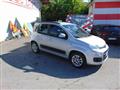 FIAT Panda trussardi