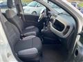 FIAT PANDA 1.0 FireFly Hybrid City Life OK NEO IVA ESPOSTA