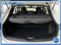 NISSAN QASHQAI 1.5 dCi 115 CV Business N1 Autocarro