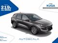 FORD KUGA 1.5 EcoBlue 120cv 2WD Titanium Business