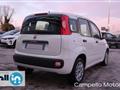 FIAT PANDA 1.2 69cv S&S Easy