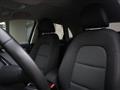 AUDI Q3 1.4 TFSI 125 CV Business