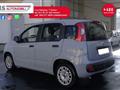 FIAT PANDA 1.0 FireFly S&S Hybrid Easy