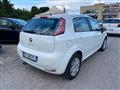 FIAT PUNTO 1.2 8V 5 porte Lounge NEOPATENTATI