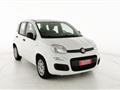 FIAT PANDA 1.2 EasyPower Easy - OK NEOPATENTATO