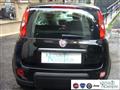 FIAT PANDA 1.0 FireFly S&S Hybrid Pandina Urban Radio Km 0