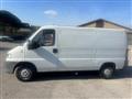 FIAT DUCATO diesel