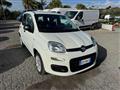 FIAT PANDA 1.2 69cv S&S E6d-Temp Easy