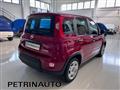 FIAT PANDA 1.0 FireFly S&S Hybrid Km.0