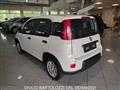 FIAT PANDA 1.0 FireFly S&S Hybrid Pandina