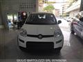 FIAT PANDA 1.0 FireFly S&S Hybrid Pandina