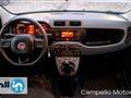 FIAT PANDA 1.2 69cv S&S Easy