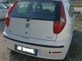 FIAT Punto 1.3 MJT 16V 3p. Active