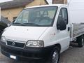 FIAT DUCATO CASSONE FISSO Ducato 15 2.0 PL Cabinato Nat.Power