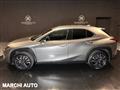 LEXUS UX Hybrid Executive