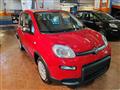 FIAT PANDA 1.0 Hybrid 70cv 36 Rate da 177,95