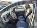 FIAT PANDA CROSS Cross Gpl/B 1.0 FireFly S&S