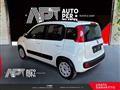 FIAT PANDA 1.2 Lounge 69cv