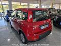 FIAT PANDA 1.0 FireFly S&S Hybrid Pandina