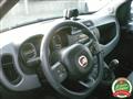 FIAT PANDA 1.2 EasyPower Lounge - PRONTA CONSEGNA