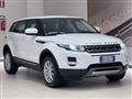 LAND ROVER RANGE ROVER EVOQUE Range Rover Evoque 2.2 TD4 5p. Pure