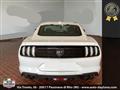 FORD MUSTANG Fastback 5.0 V8 GT  CERTIFICATA FORD EUROPEA