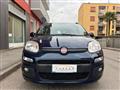 FIAT PANDA Lounge 1.2