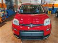 FIAT PANDA 1.0 Hybrid 70cv 36 Rate da 177,95