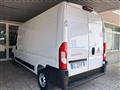 FIAT DUCATO MAXI 35 2.3 MJT 140CV PL-TA