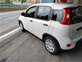 FIAT PANDA 1.0 FireFly S&S Hybrid KM 0