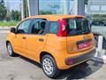 FIAT PANDA 1.2 Easy IDEALE PER NEO PATENTATI, IVA ESPOSTA