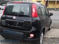 FIAT PANDA 1.0 Hybrid Pandina KMZERO