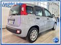 FIAT PANDA 1.0 FireFly 70 Cv Hybrid Easy