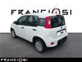 FIAT PANDA CROSS 1.0 firefly hybrid s s 70cv 5p.ti