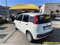 FIAT PANDA 1.2 Easy - 69CV - OK NEOPATENTATI