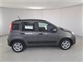 FIAT Panda 1.0 firefly hybrid s&s 70cv