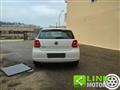 VOLKSWAGEN POLO 1.2 5 porte Trendline