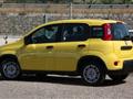 FIAT PANDA 1.0 FireFly S&S Hybrid PACK CITY